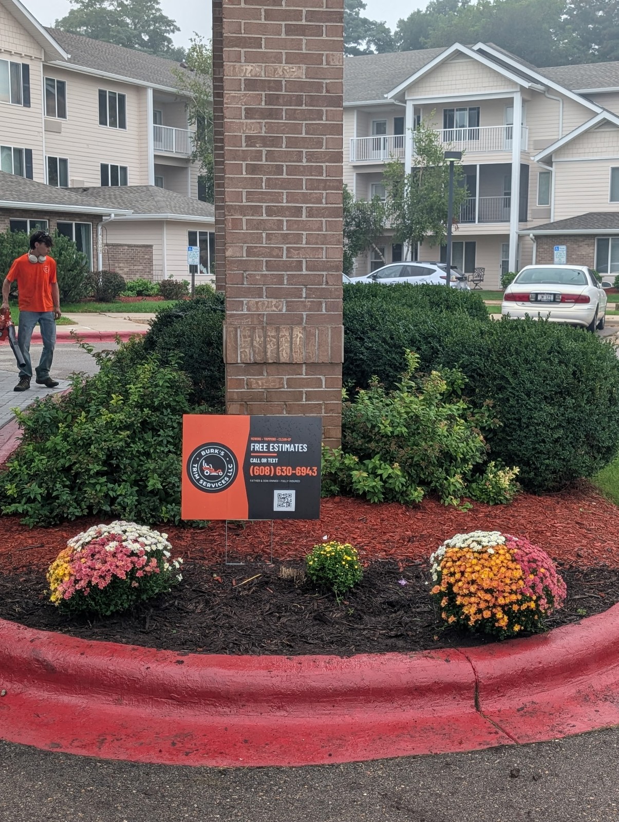 Parking lot island bed with fresh mulch, mums, and a Burk's Trim Services yard sign