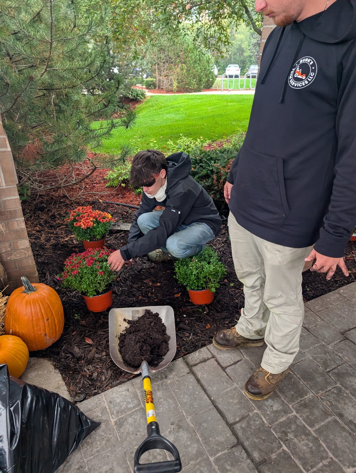 Crew planting mums next to pumpkins at the entrance