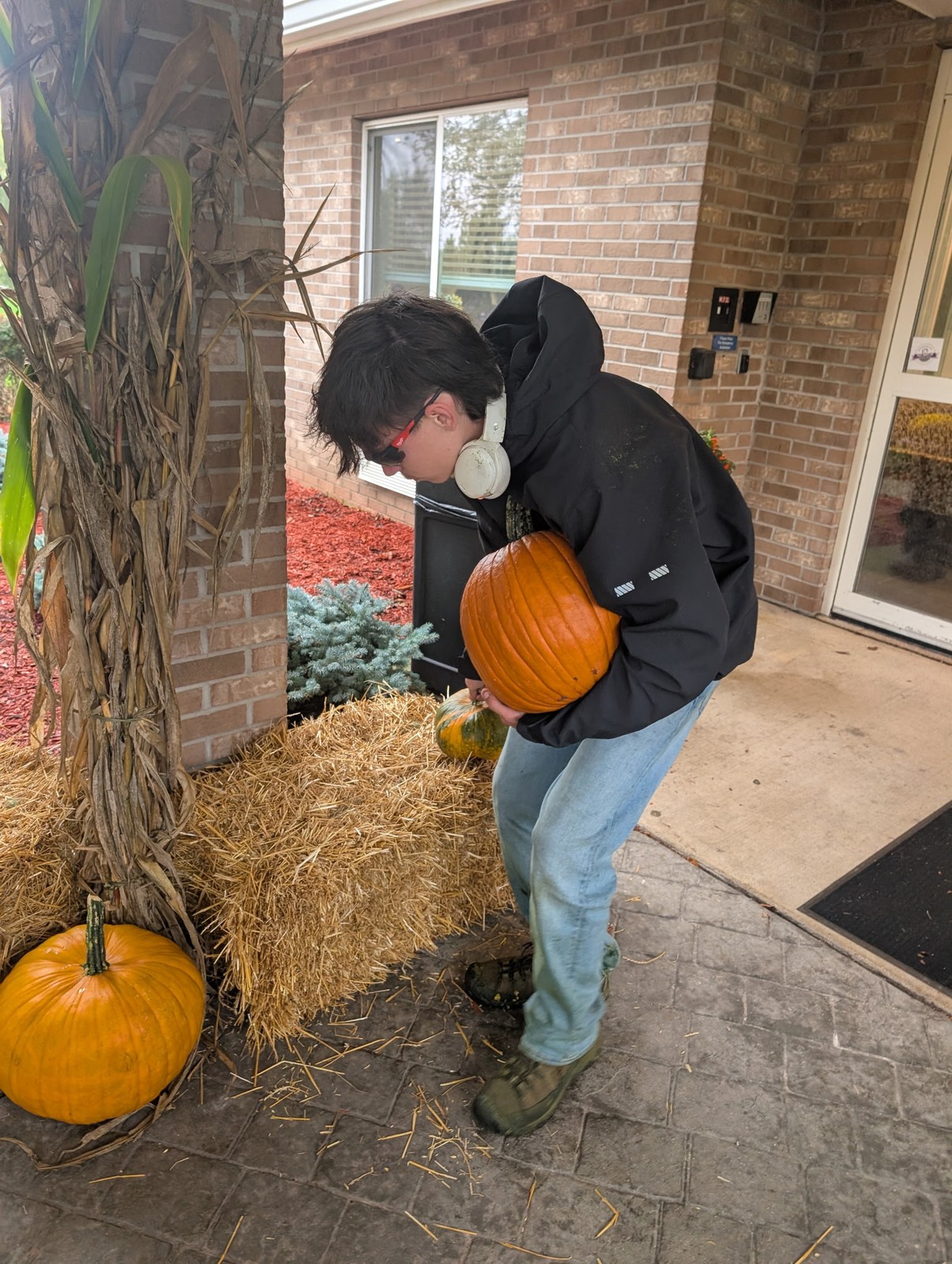 Crew member setting a pumpkin on a straw bale display