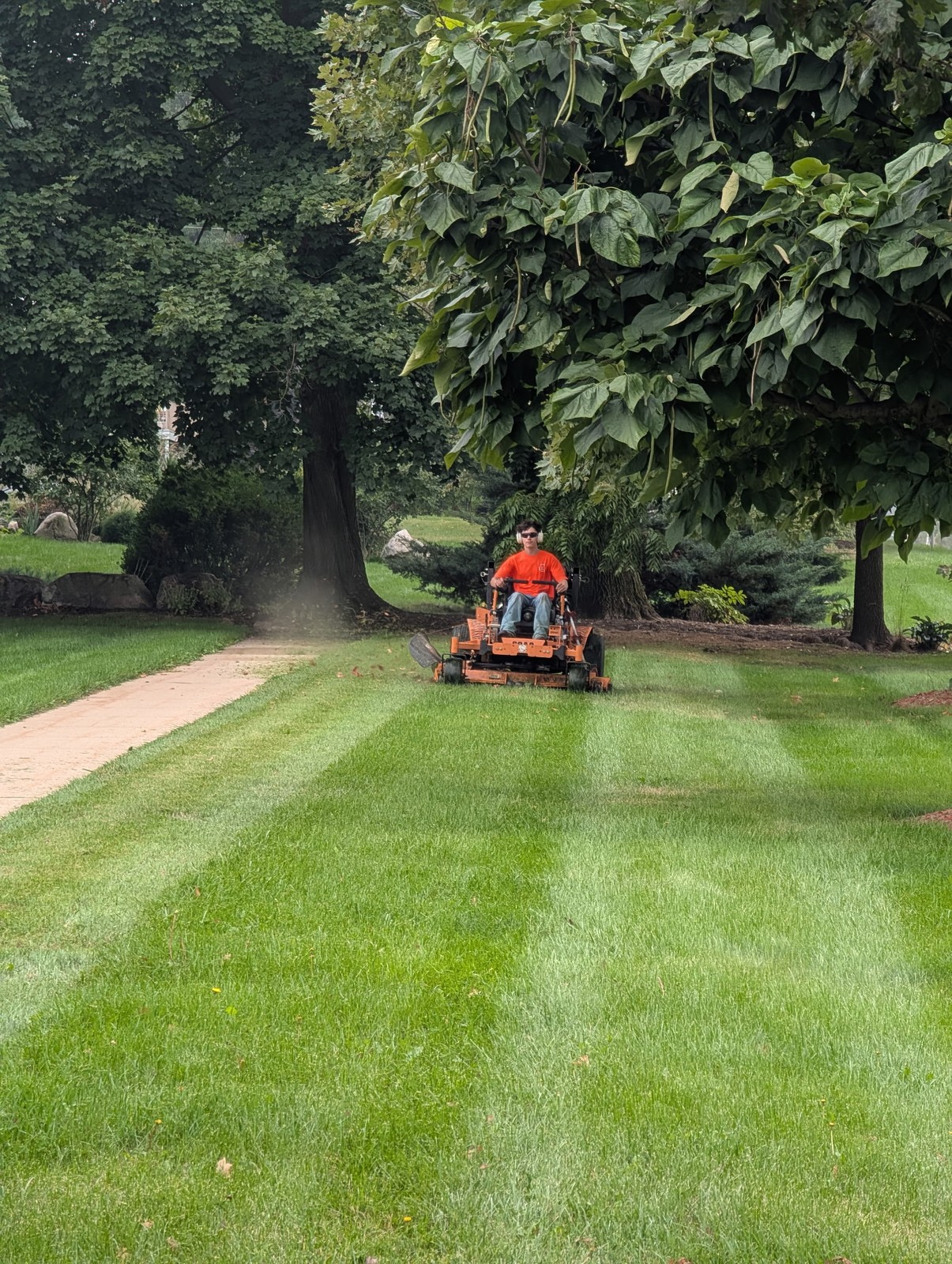 Crew member on a stand-on mower cutting fresh stripes under a shade tree