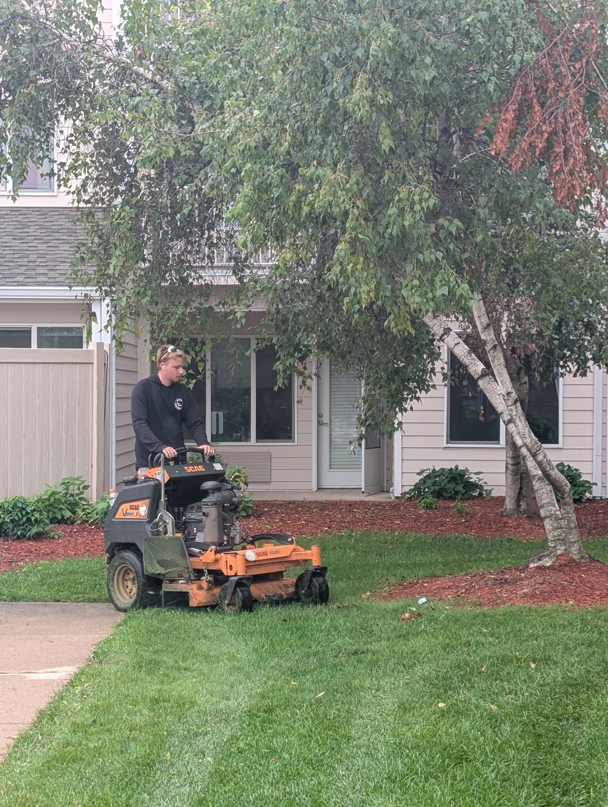 Crew member mowing a townhome yard beside a birch tree