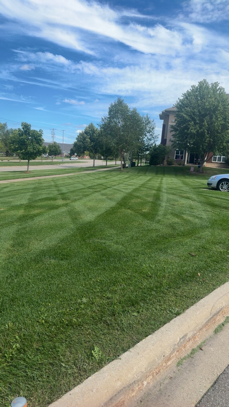 Crisscross stripes on a lawn along the street